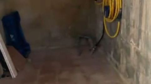 Foto 3 von Geschaftsraum zur Miete in Carrer Cerdanya, 8, Pino Alto, Mont-roig del Camp