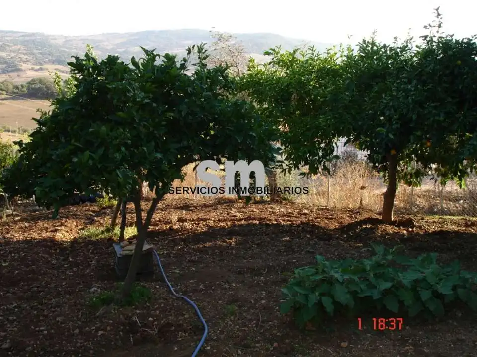 Terreni e lotti in vendita a Ubrique, imagen 22
