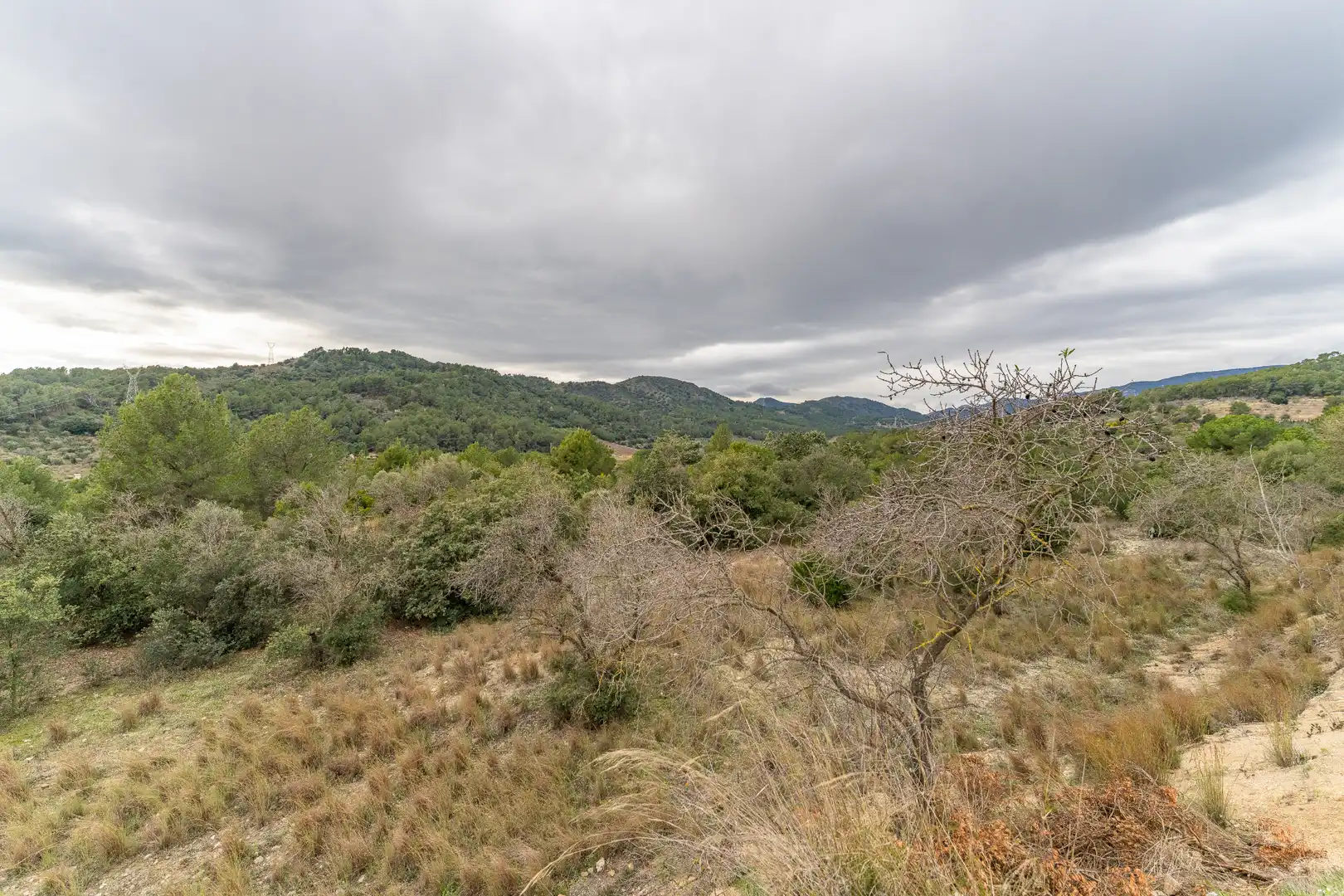 Finca rústica en venda en Les Borges del Camp amb Jardí privat, Terrassa i Traster