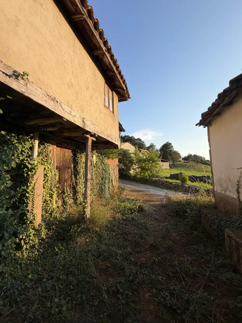 Rural land for sale in Tineo, imagen 10