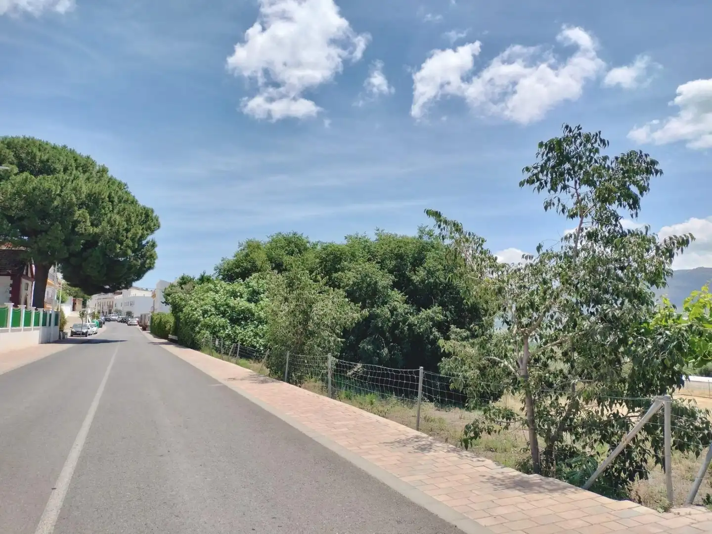 Residential land for sale in Calle de Canalejas 39, imagen 21