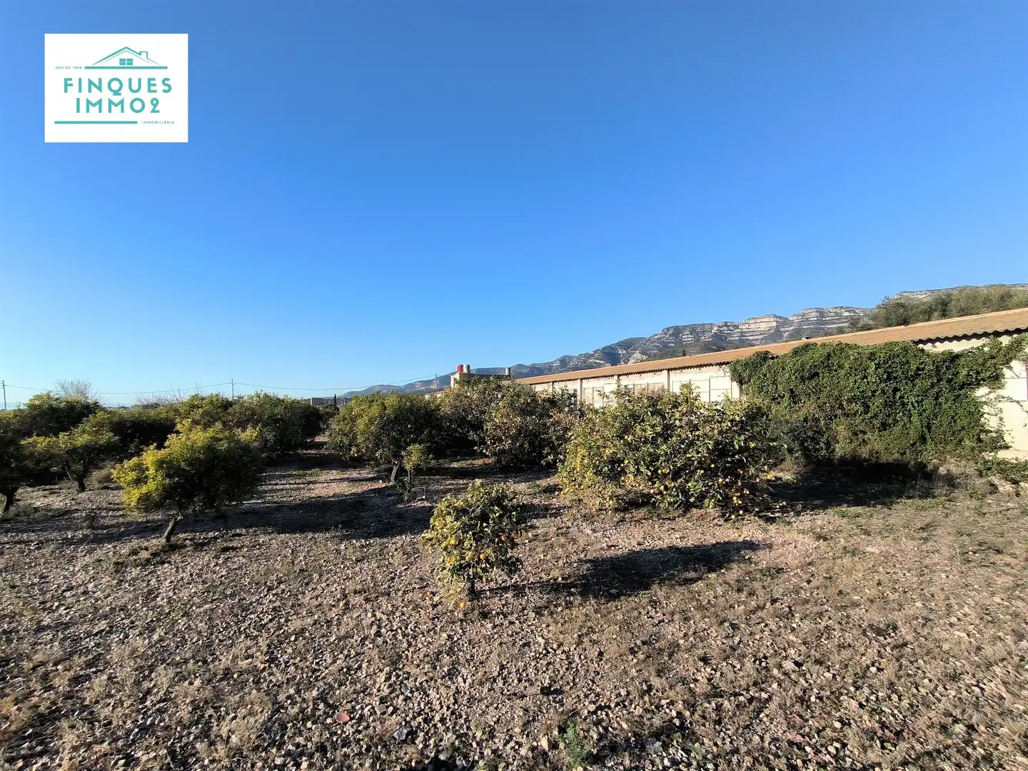Terreno en venta en La Ràpita