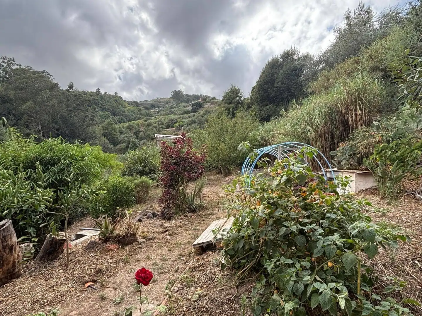 Casa rústica con terraza en venta en Valleseco, imagen 16