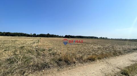 Photo 5 of Residential for sale in Castelló D` Empúries - Polígono 1, 151, Castelló d'Empúries, Girona