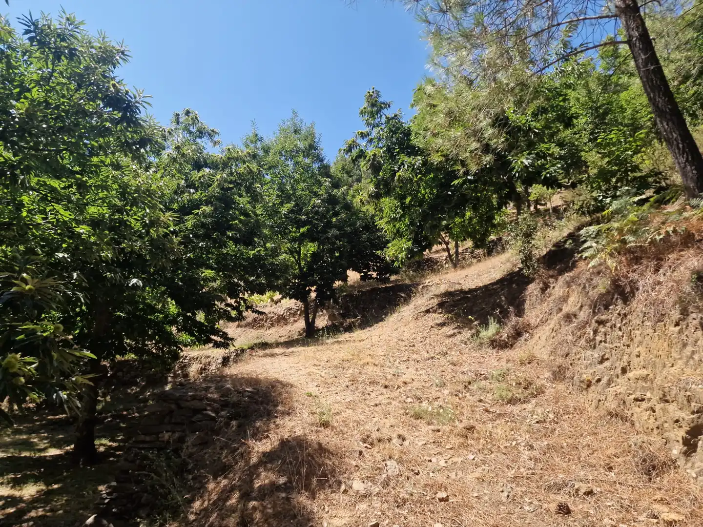 Terreno en venta en Guisando, Ávila