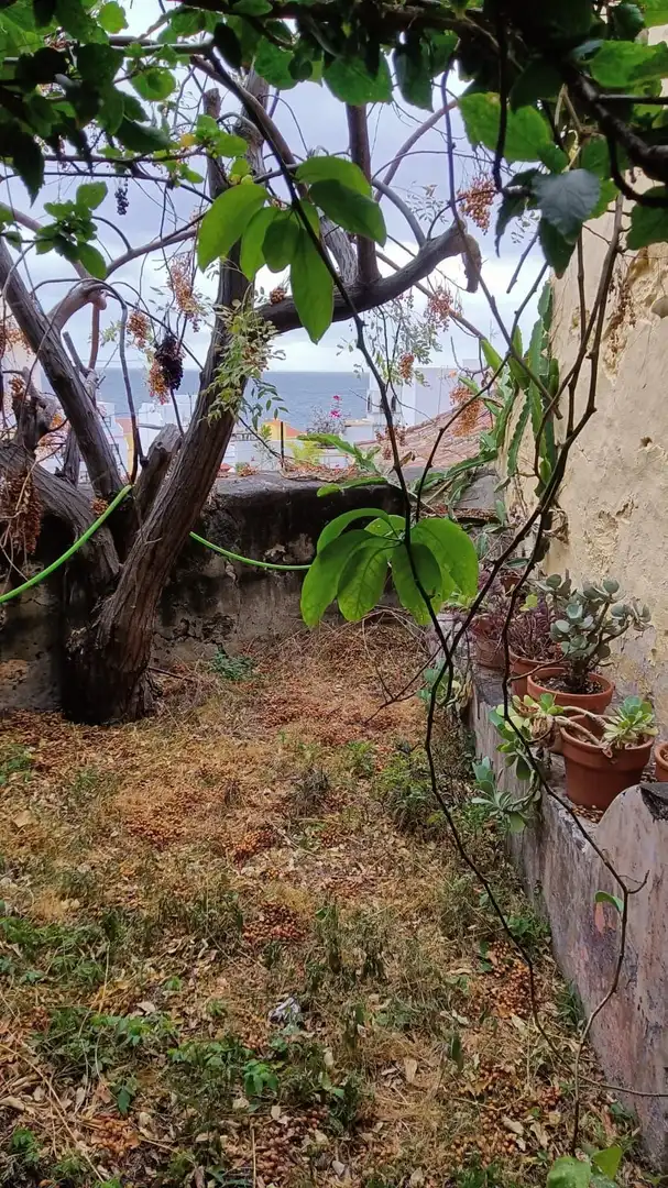 Casa o xalet en venda a Santa Cruz de la Palma