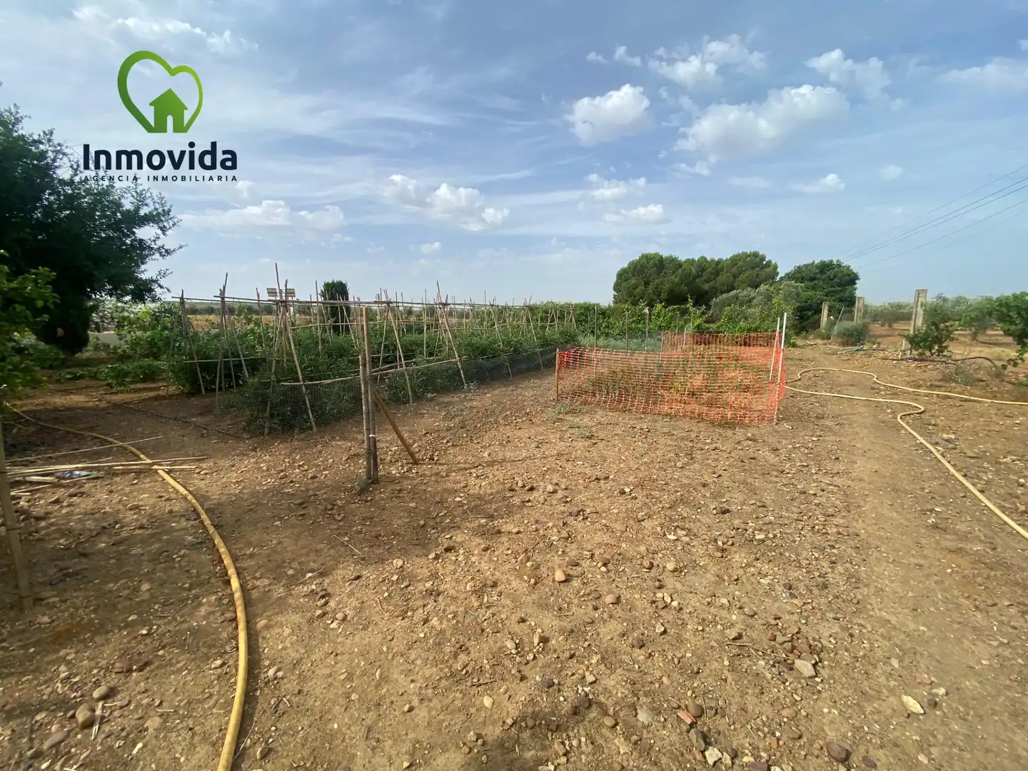 Houses for sale in La Carlota