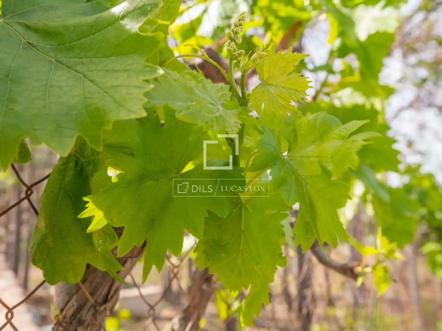 Vista exterior de Finca rústica en venda en Málaga amb Jardí privat, Terrassa i Traster
