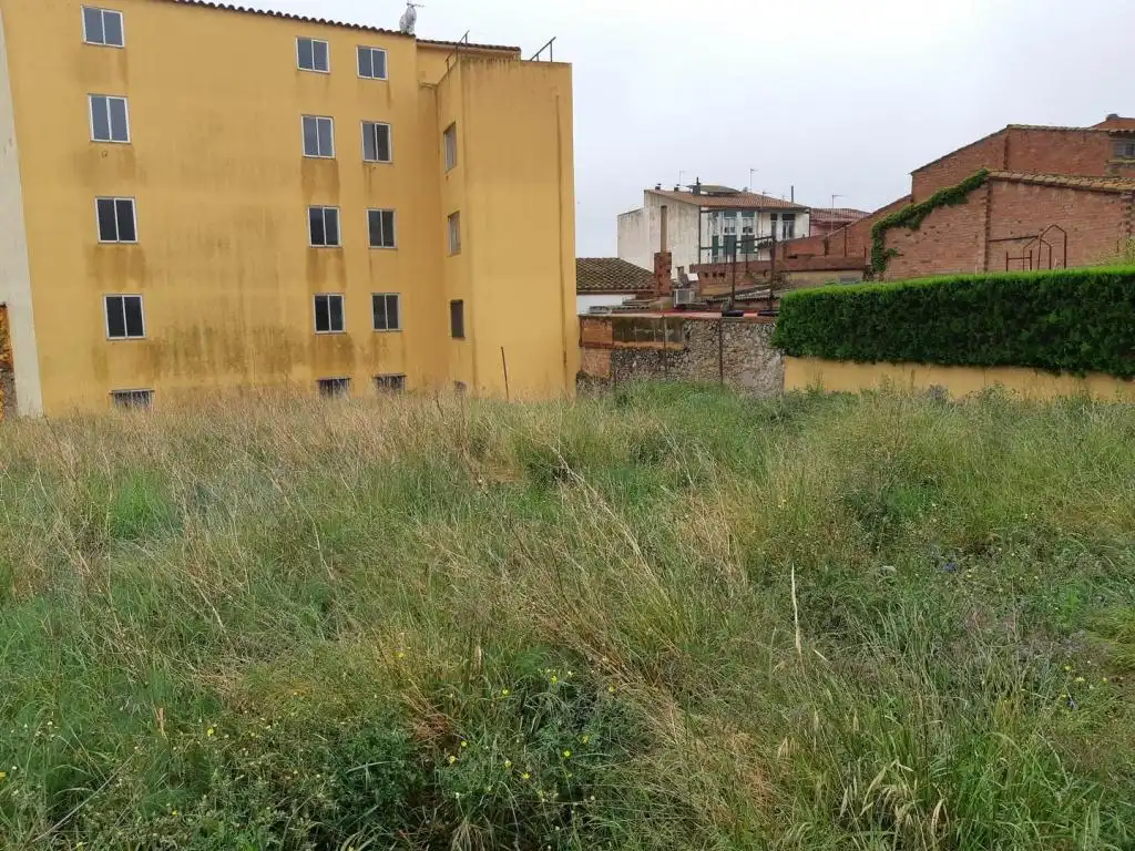 Terreny rústic en venda a C/ Santa Margarida, imagen 6