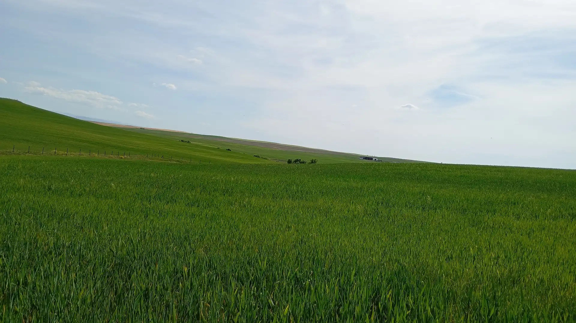 Land for sale in Calle Iglesia, Cantaracillo