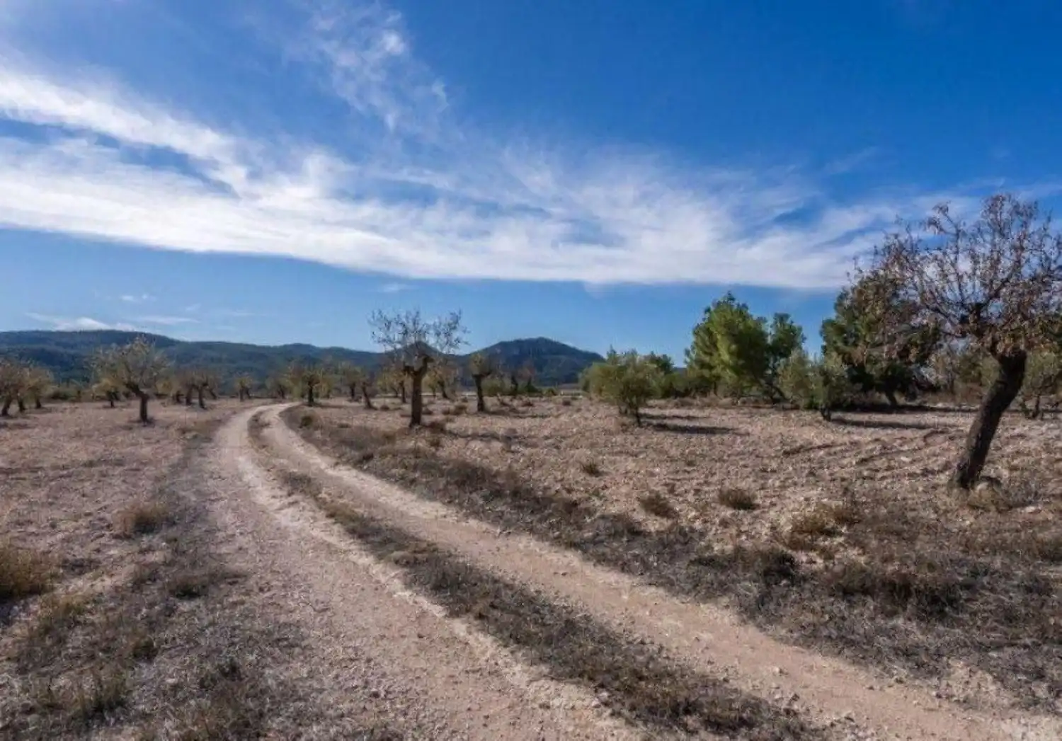 Finca rústica en venta en Vélez-Rubio con Calefacción, Jardín privado y Trastero