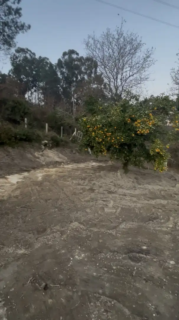 Vista exterior de Casa o xalet en venda en Mondariz, Pontevedra