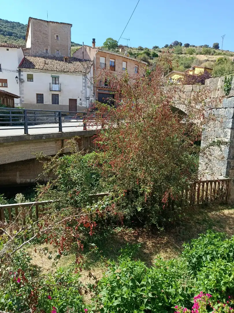 Vista exterior de Casa adosada en venta en Munilla con Trastero, Amueblado y Balcón