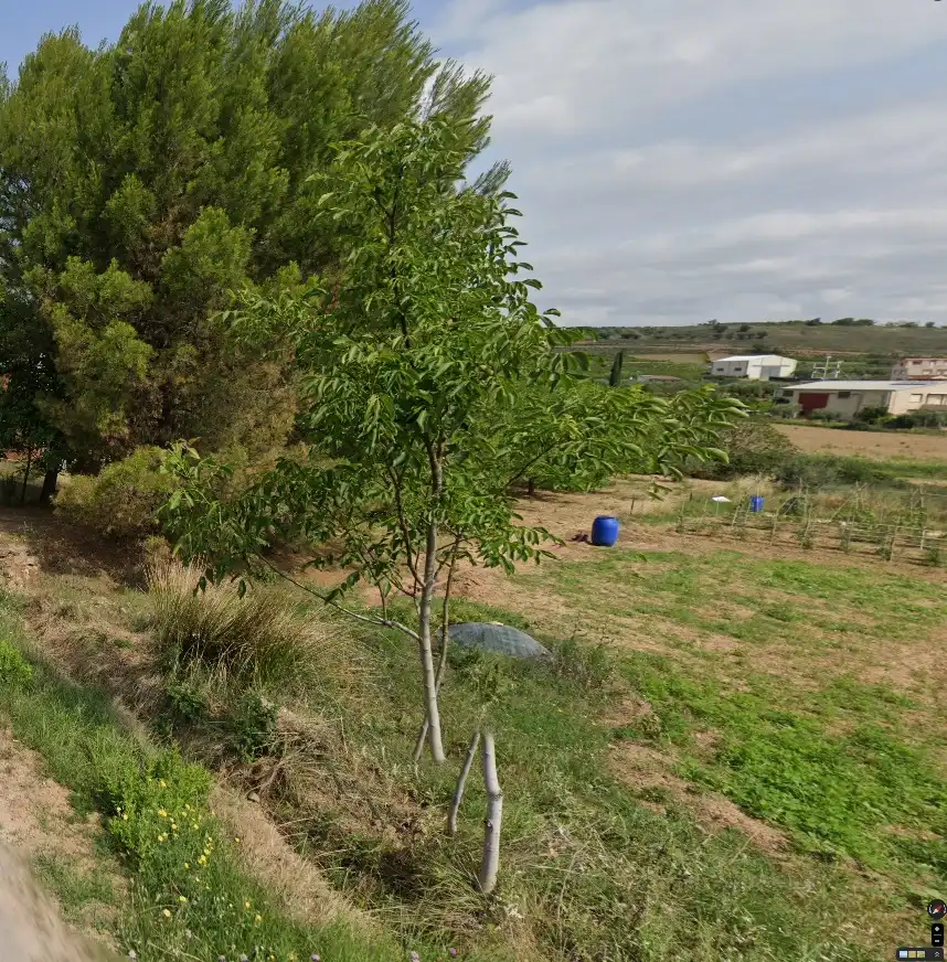 Terreny rústic en venda a Villamediana de Iregua, imagen 3
