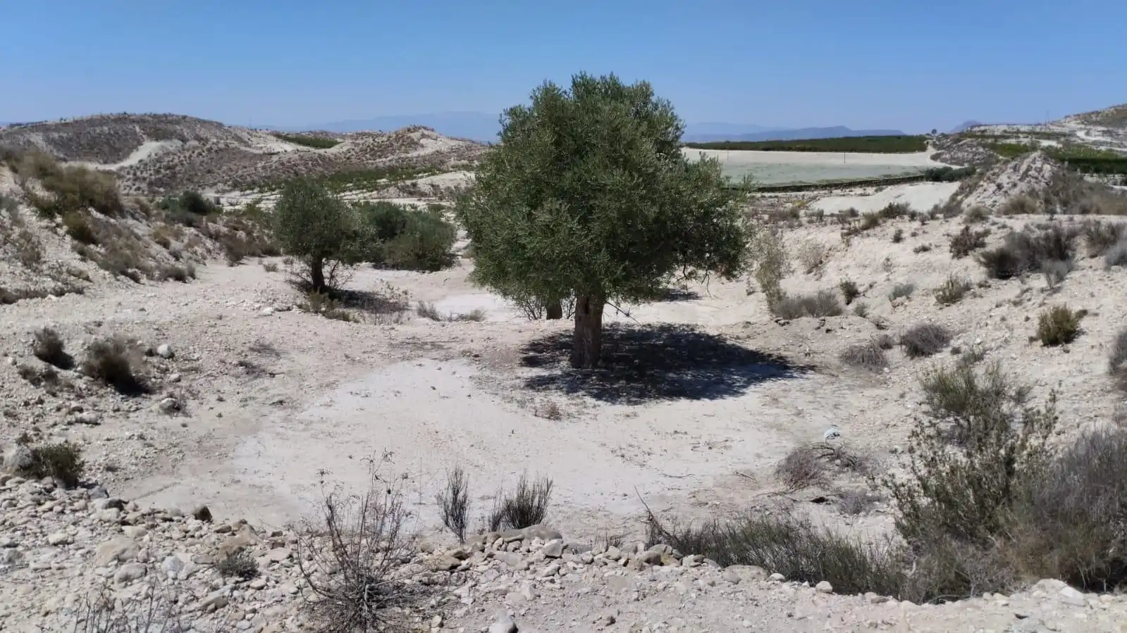 Grundstücke zum Verkauf in Molina de Segura