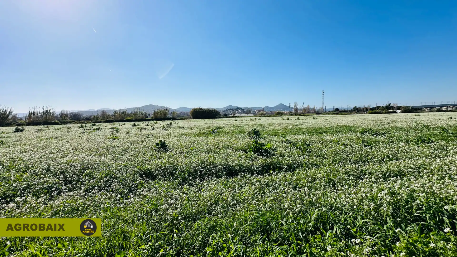 Rural land for sale in Vinyets - Molí Vell, imagen 23