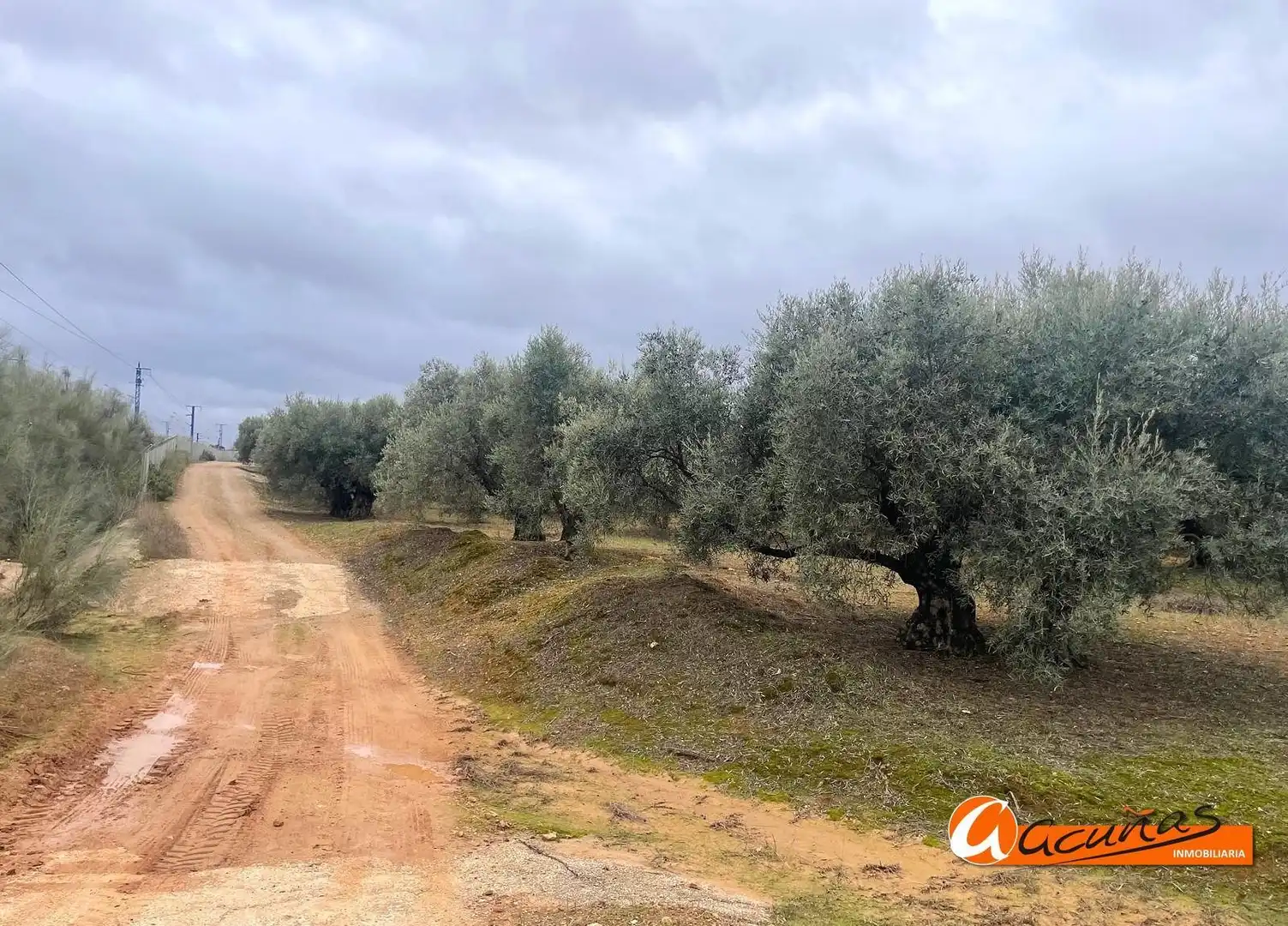 Terrenos y solares en venta en Alameda, imagen 2