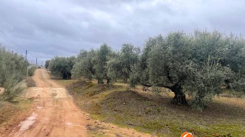 Terreno en Alameda, Málaga, immagine 2