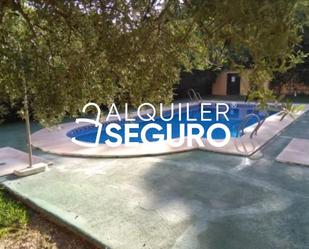 Swimming pool of Flat to rent in  Sevilla Capital  with Air Conditioner, Swimming Pool and Furnished