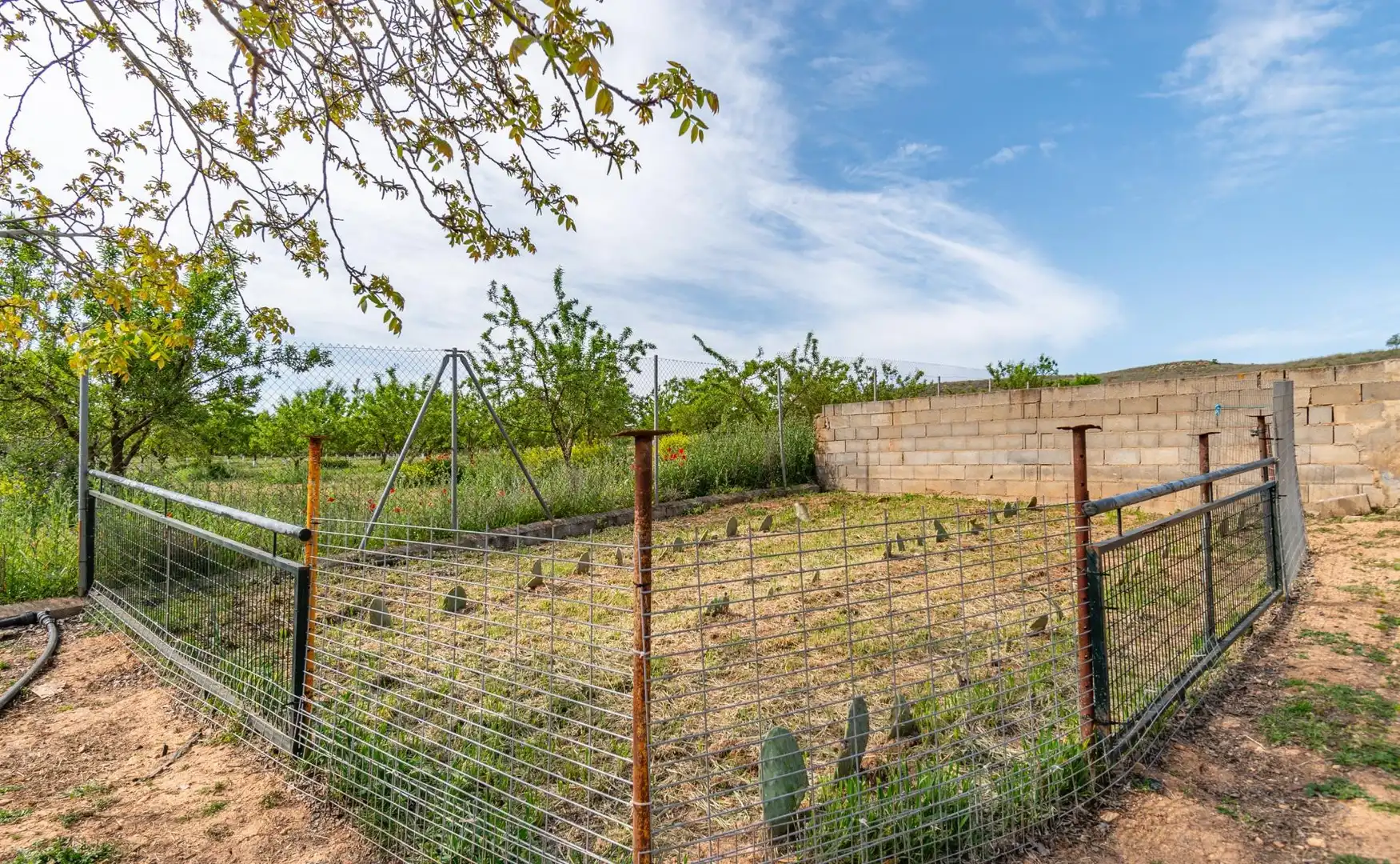 Terreni e lotti in vendita a Padul, imagen 5
