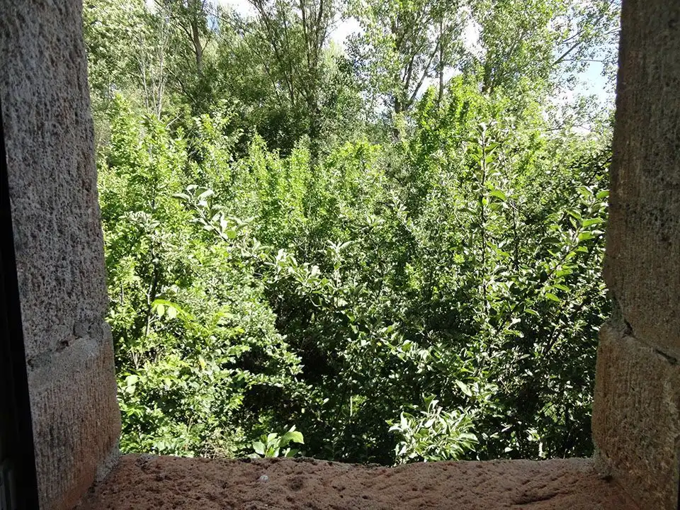 Casa o xalet en venda en Jaramillo Quemado amb Jardí privat