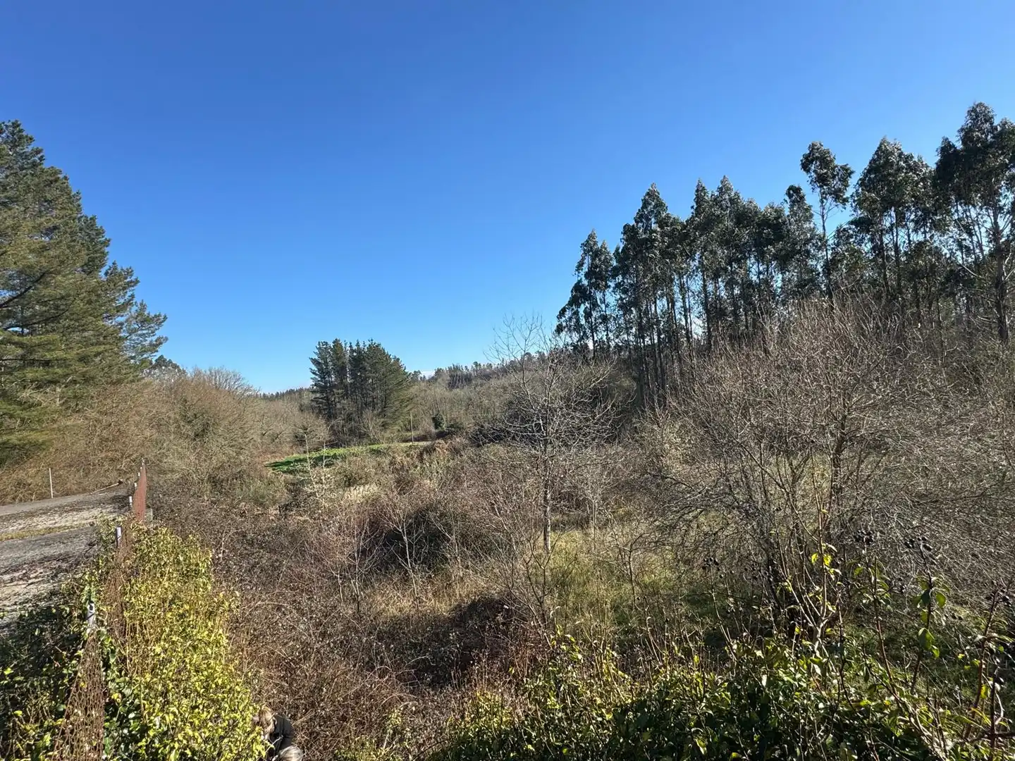 Haus oder Chalet zum Verkauf in Lugo mit Privatgarten und Terrasse