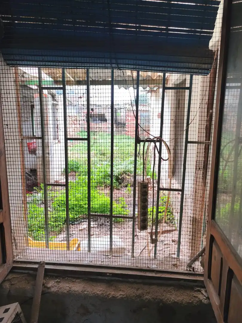Jardí de Casa o xalet en venda en Las Torres de Cotillas