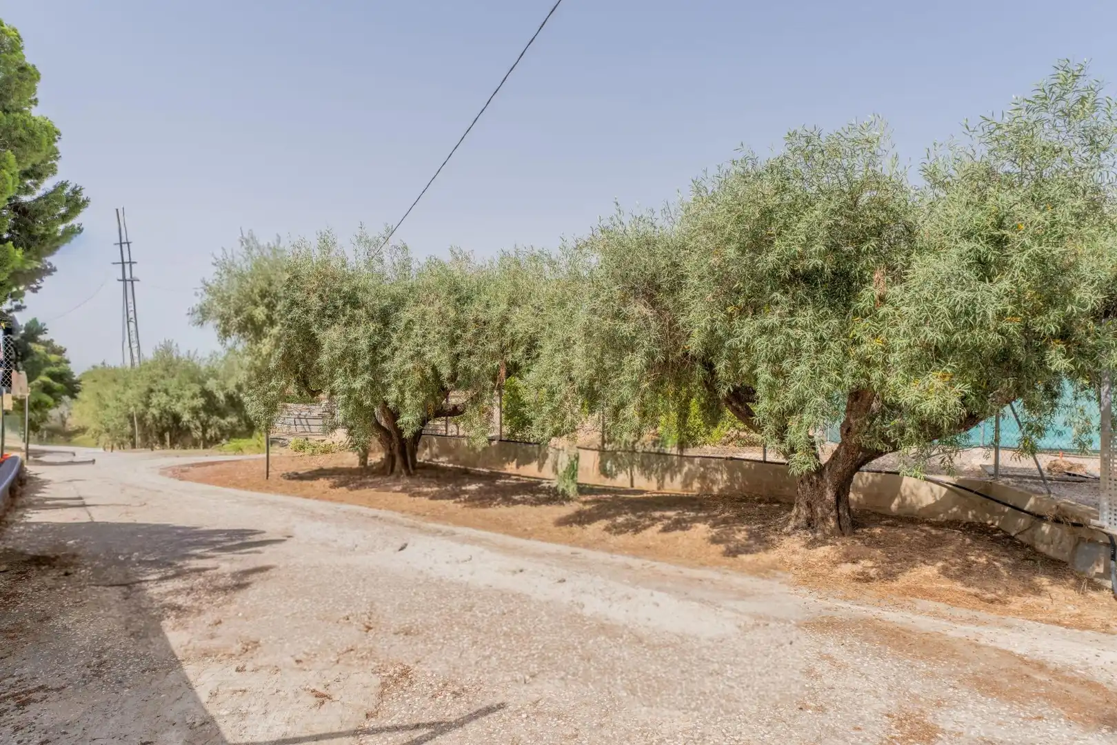 Casa o chalet en venta en Elche / Elx con Aire acondicionado, Jardín privado y Piscina