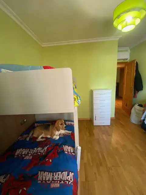 Pis en venda a El Pilar