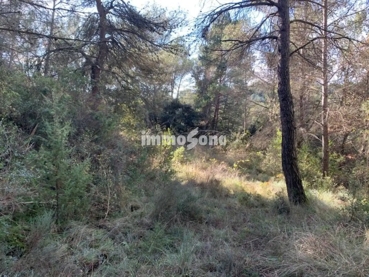 Terrain rustique à vendre à Santa Maria d'Oló
