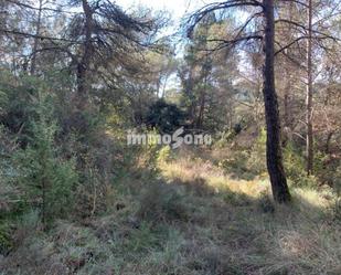 Land for sale in Santa Maria d'Oló
