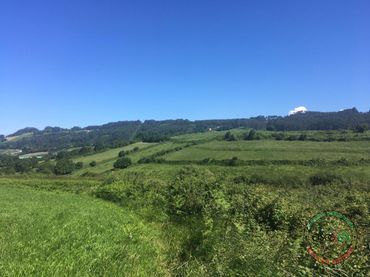 Terreno rústico en venta en C GUIMARAN