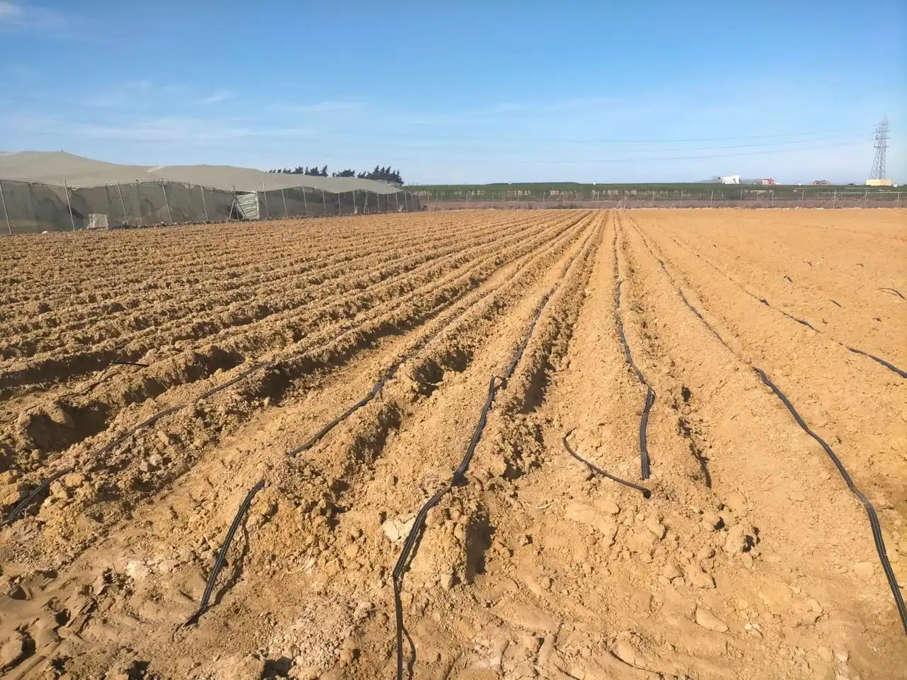 Terreni e lotti in vendita a La Loma Baja, imagen 2