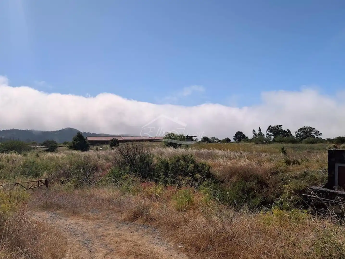 Buildings for sale in El Tanque