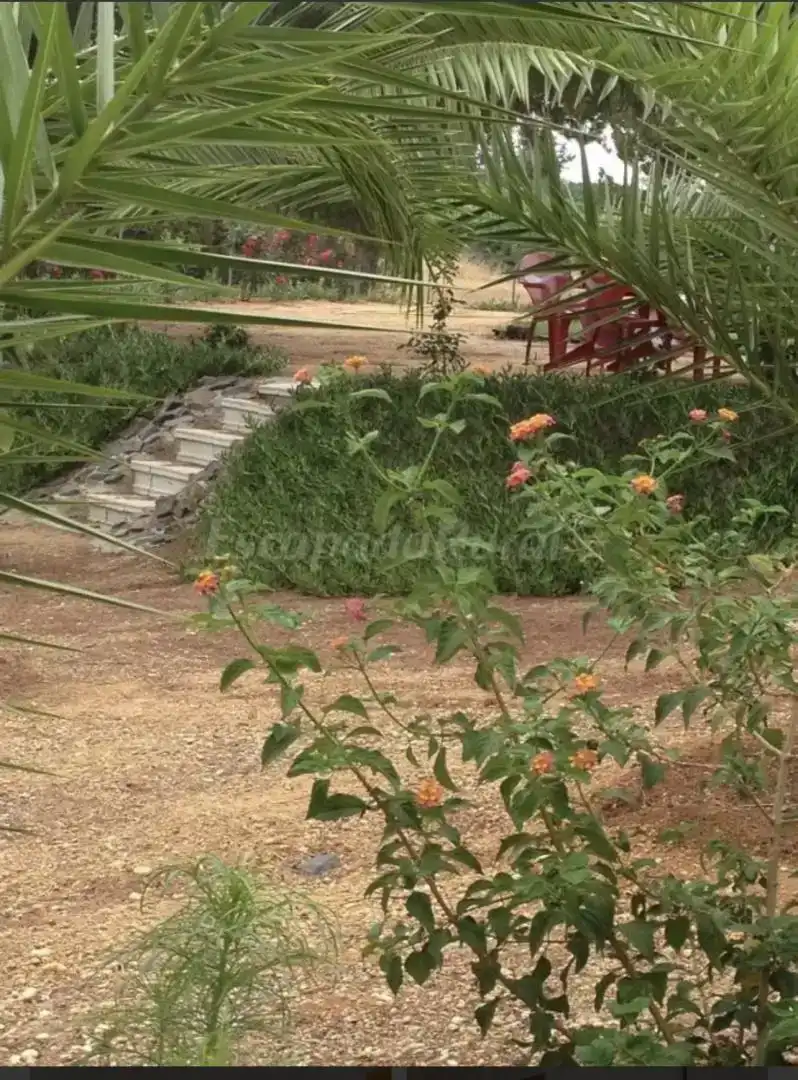Jardín de Piso en venta en Isla Cristina con Aire acondicionado, Jardín privado y Trastero