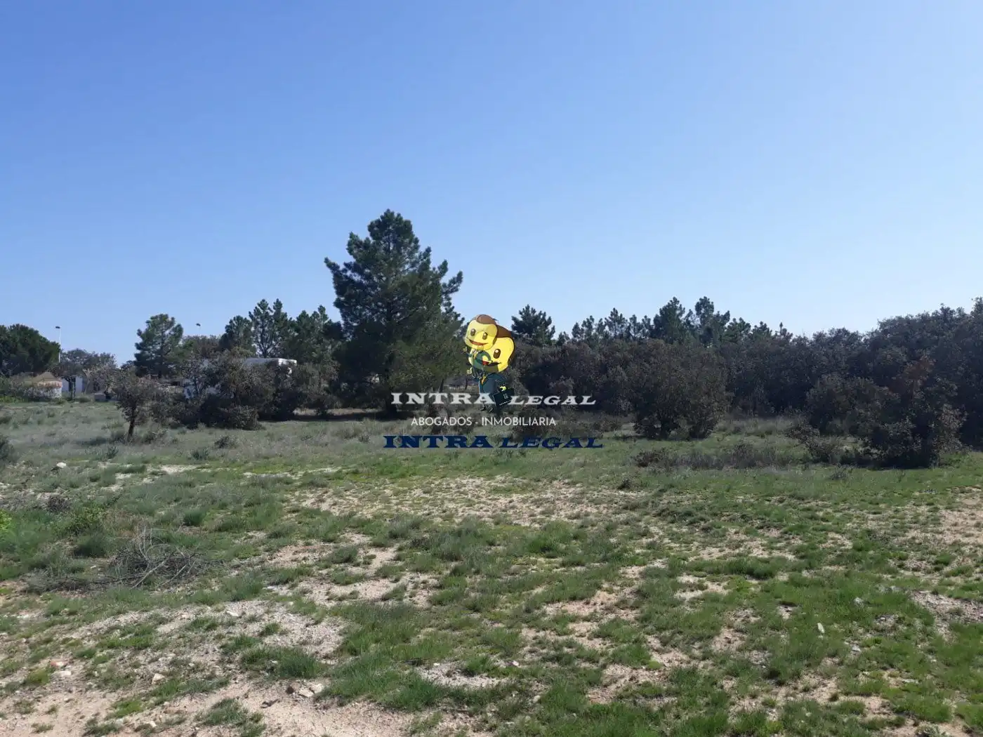 Terreno en venta en Buenavista