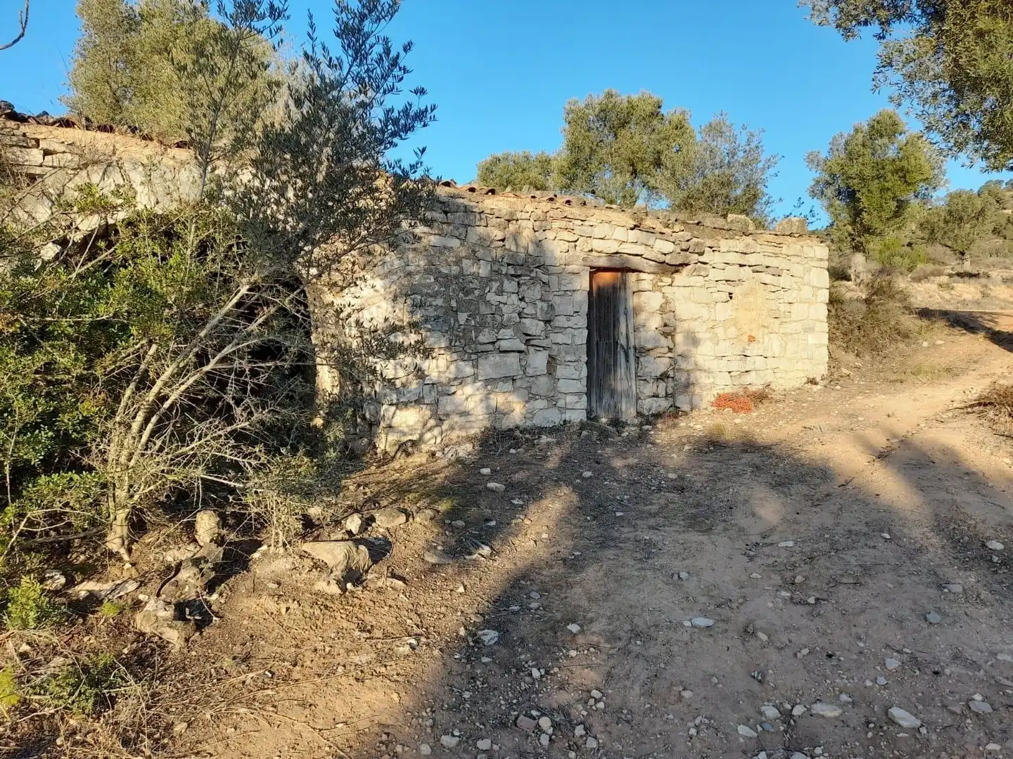 Terreno rústico en venta en Corbera d'Ebre