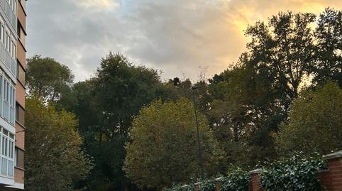 Photo 3 of Premises to rent in Paseo de la Isla, San Pedro de la Fuente, Burgos