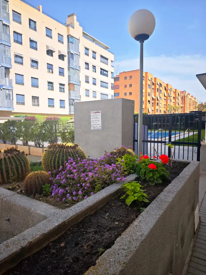 Vista exterior de Ático en venta en Alicante / Alacant con Aire acondicionado, Jardín privado y Parquet
