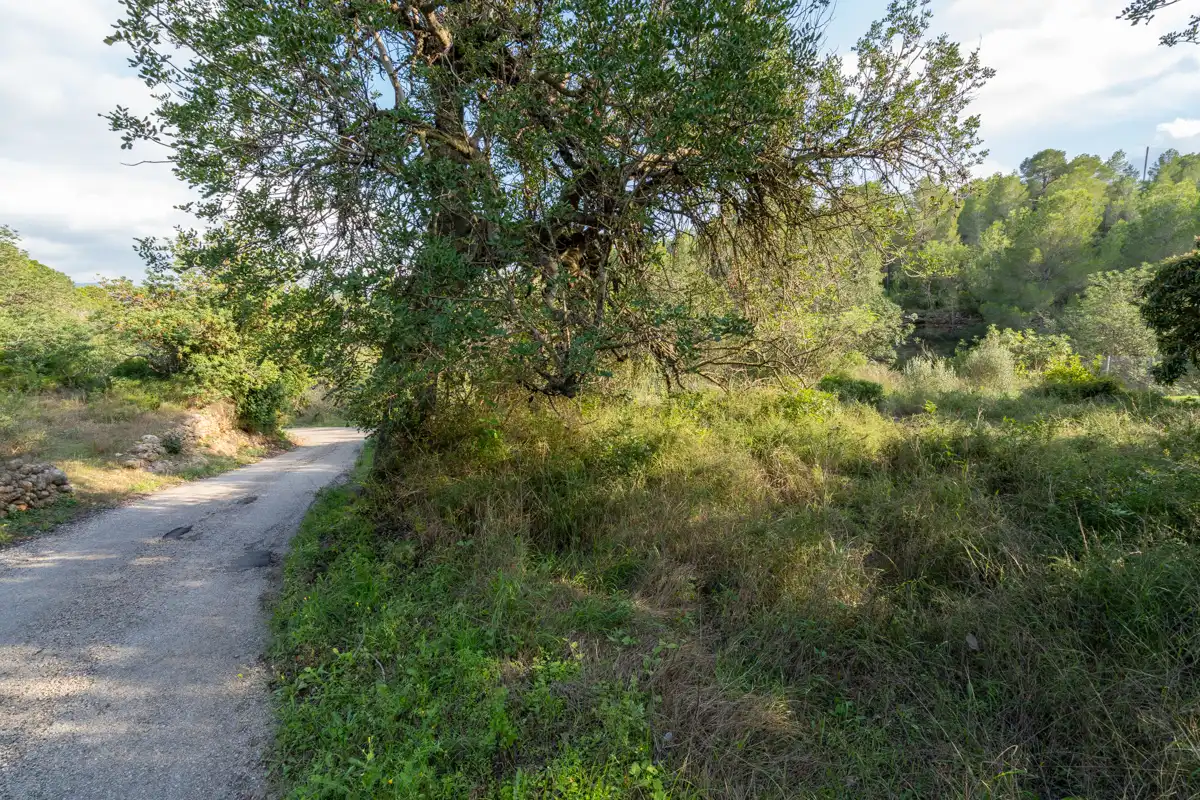 Terreno rustico in vendita a Camí Vell del Cementiri 1, imagen 8