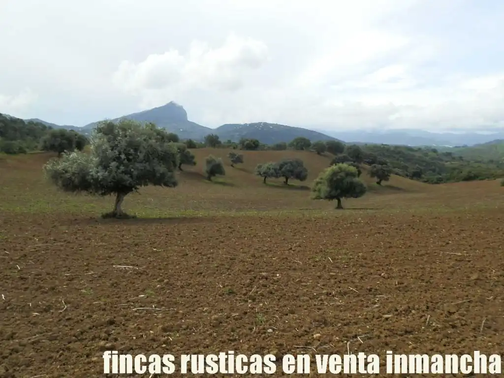 Terreno rustico in vendita a Algodonales, imagen 16