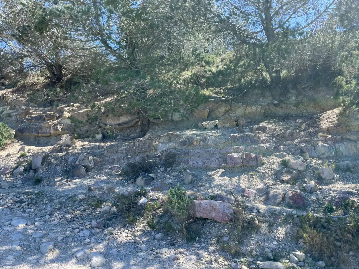 Terrain rustique à vendre à Tivissa, imagen 12