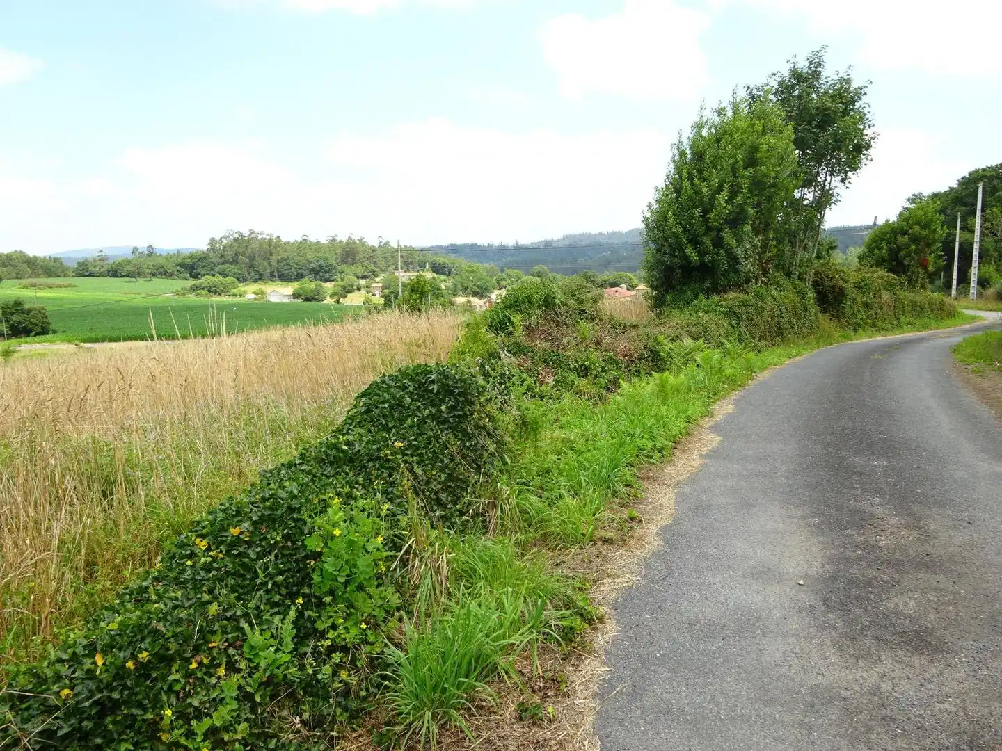 Lands and plots for sale in Brión, imagen 6