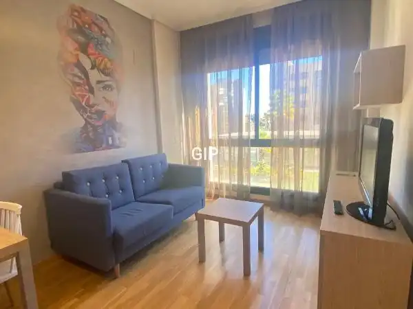 Sala de estar de Apartamento de alquiler en  Madrid Capital con Aire acondicionado, Calefacción y Parquet