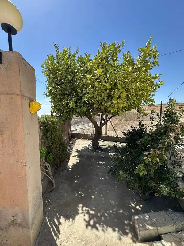 Terreny rústic en venda a La Cañada de San Urbano, imagen 6