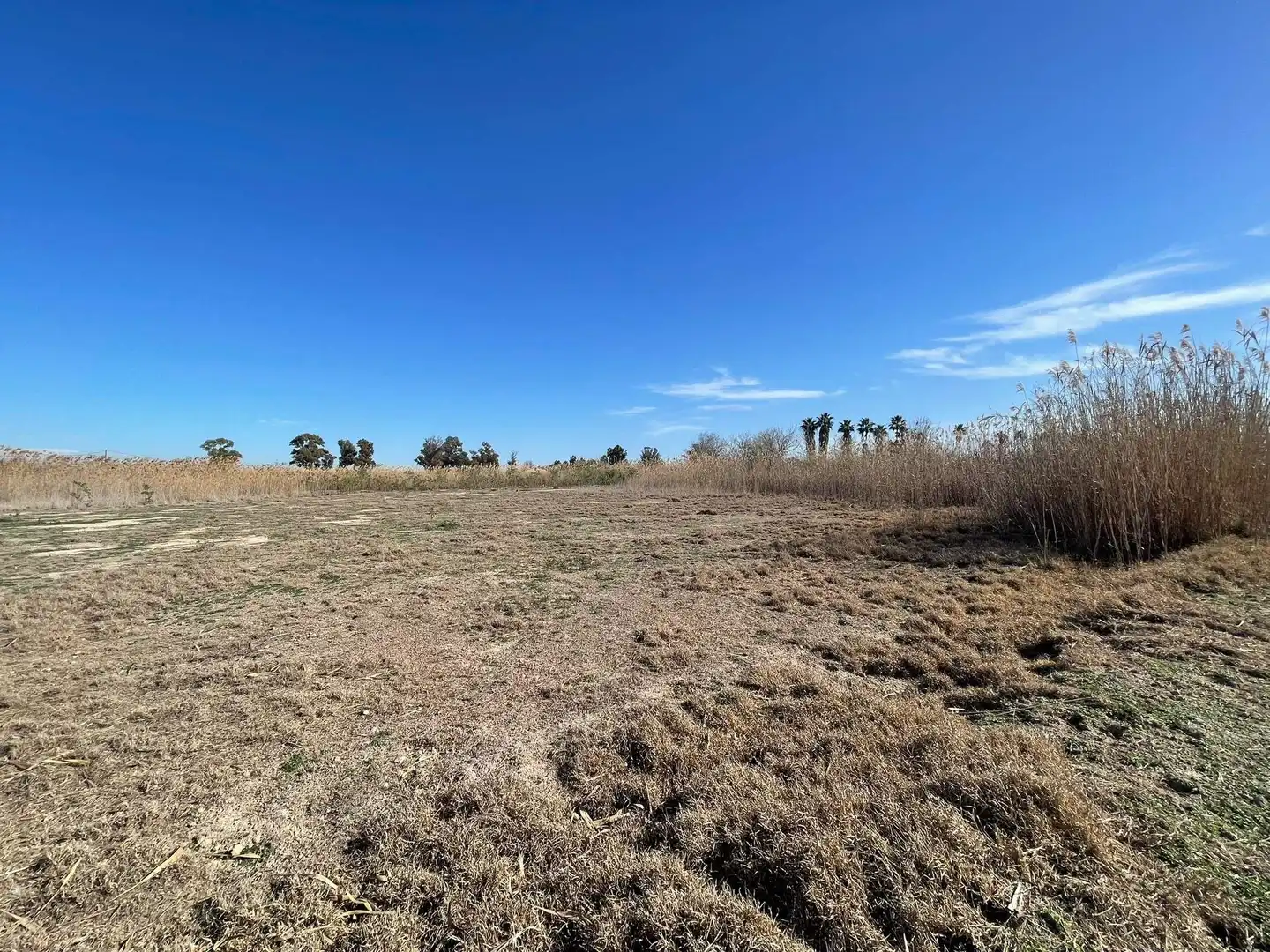 Terrain rustique à vendre à Algorós - El Derramador, imagen 11