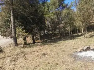 Residential land for sale in Avinguda Joan Miró 89, imagen 12