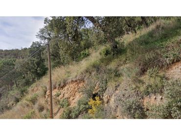 Terreno rústico en venta en Calle Om