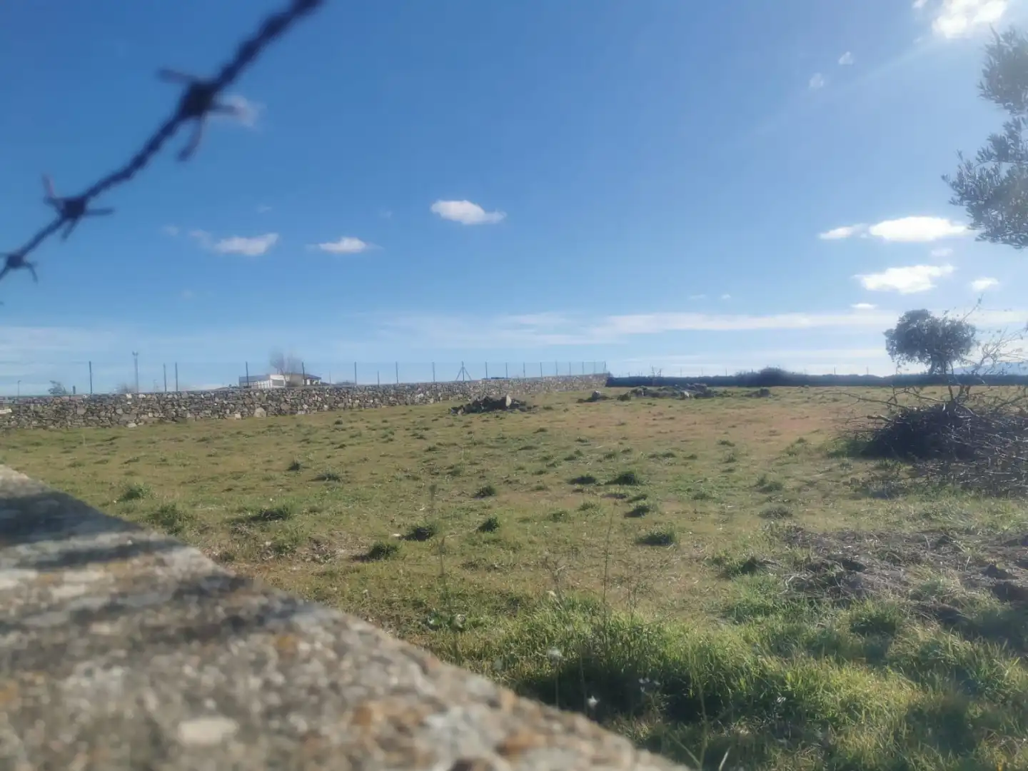 Land for sale in Cespedosa de Tormes