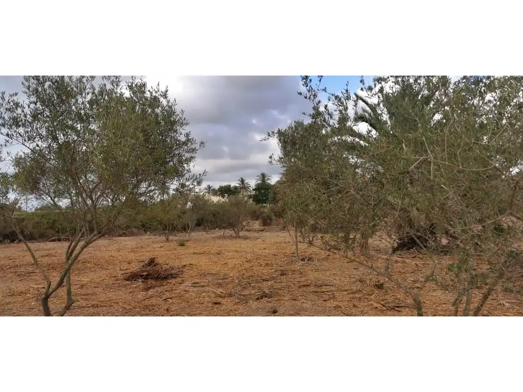 Terreno residencial en venta en La Marina, imagen 4